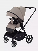 Прогулочная коляска Rant Moss