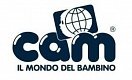 Cam