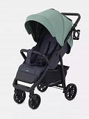 Прогулочная коляска Rant Basic Vega