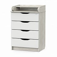 Сосна Касцина